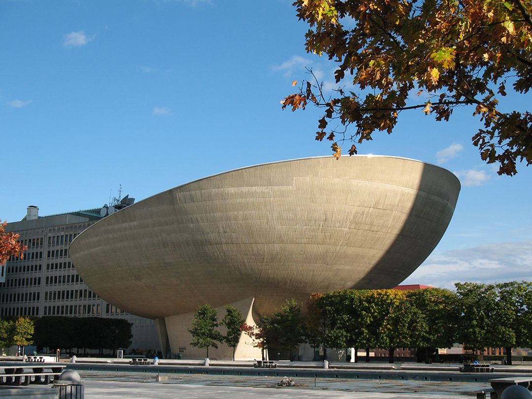 About | The Egg